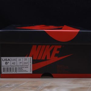 Air Jordan 1 Retro High "Homage To Home" - Image 11