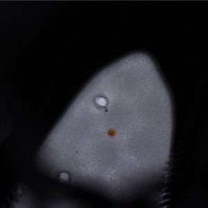 Air Jordan 1 Retro High NRG "Patent Gold Toe" - Image 14